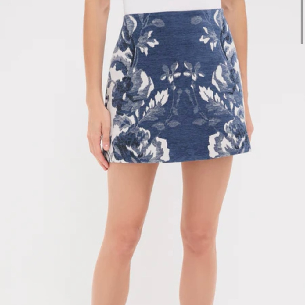 Tuckernuck Mini Skirt